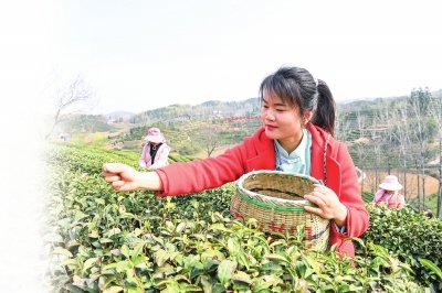 未命名_副本.jpg